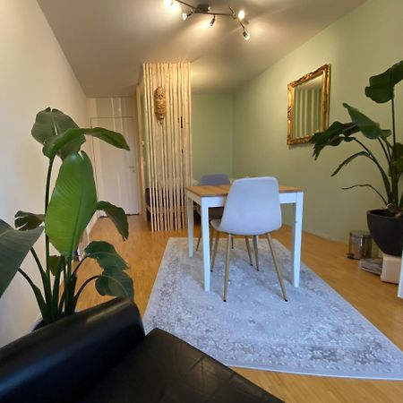 Limmatspitz Apartman Gebenstorf Kültér fotó