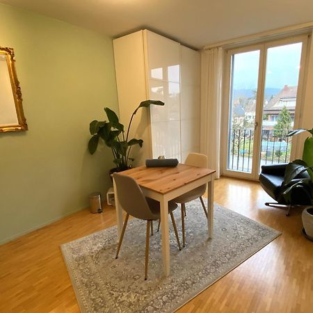 Limmatspitz Apartman Gebenstorf Kültér fotó