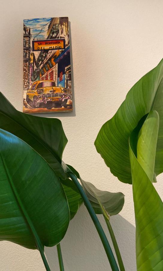 Limmatspitz Apartman Gebenstorf Kültér fotó