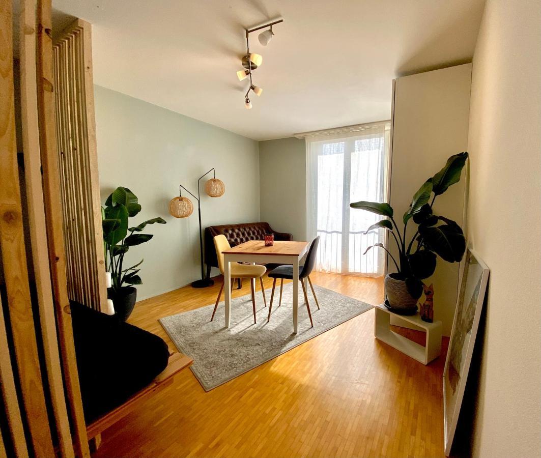 Limmatspitz Apartman Gebenstorf Kültér fotó