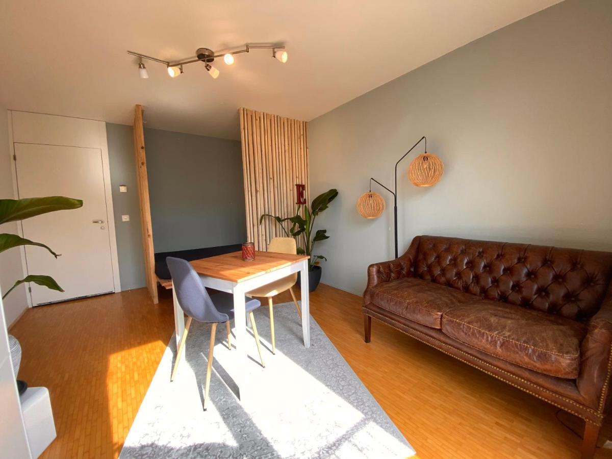 Limmatspitz Apartman Gebenstorf Kültér fotó