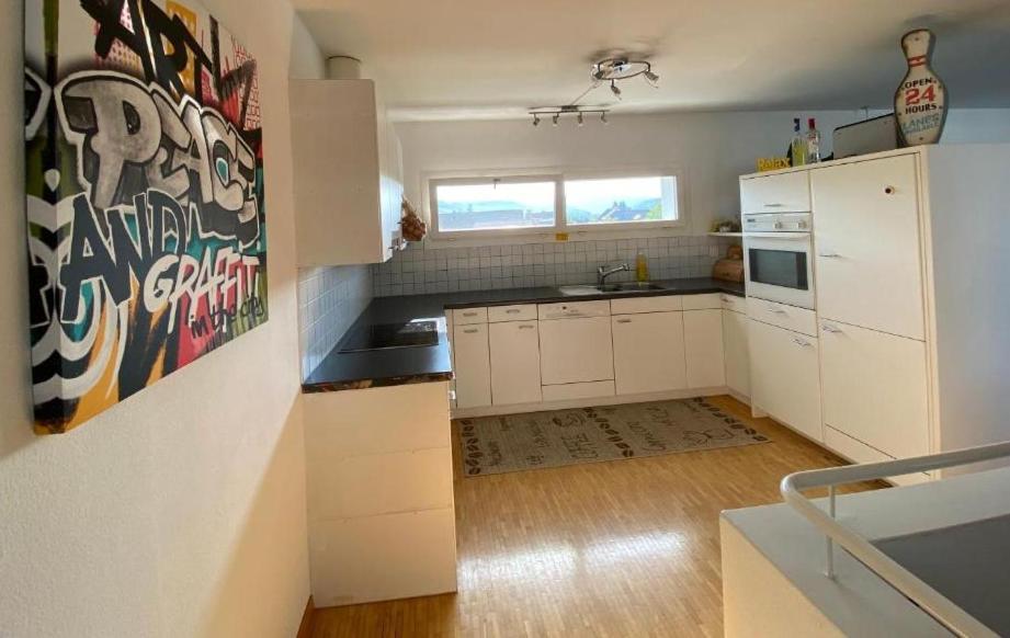 Limmatspitz Apartman Gebenstorf Kültér fotó