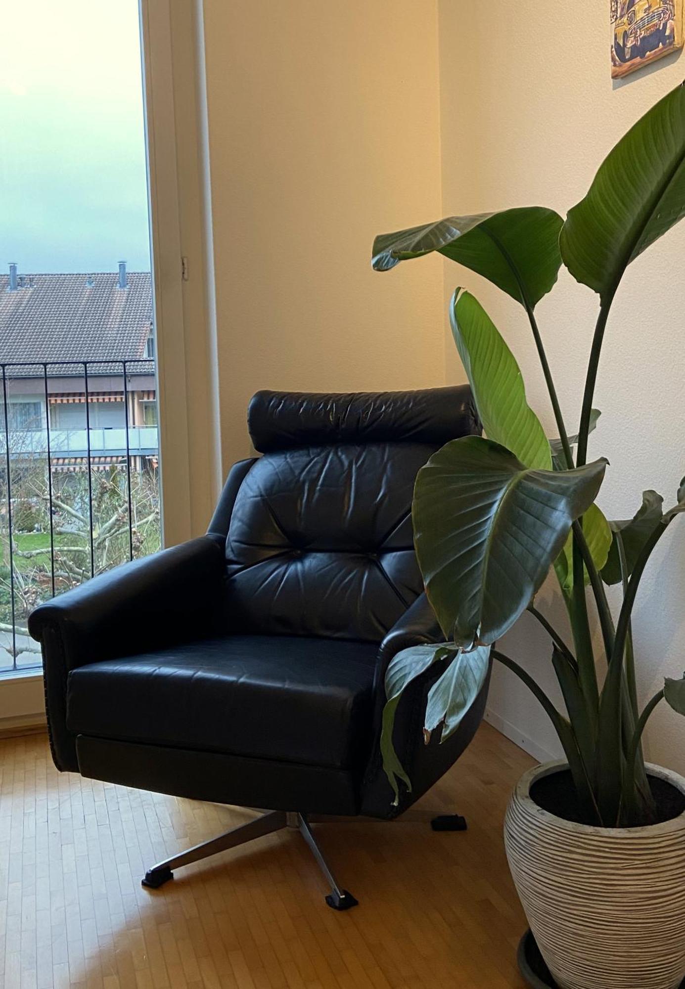 Limmatspitz Apartman Gebenstorf Kültér fotó